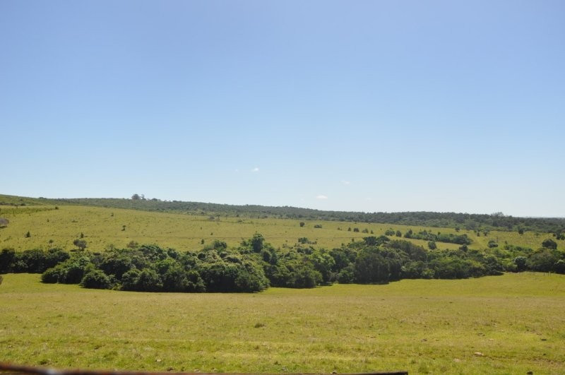 4 Bedroom Property for Sale in Kidds Beach Eastern Cape